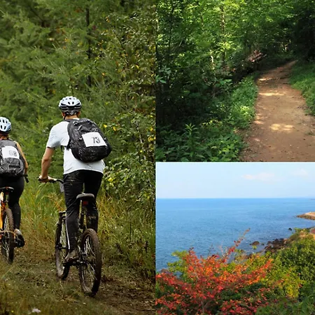 別荘 In Sanxenxo With Pool & Sea Views ポンテベドラ